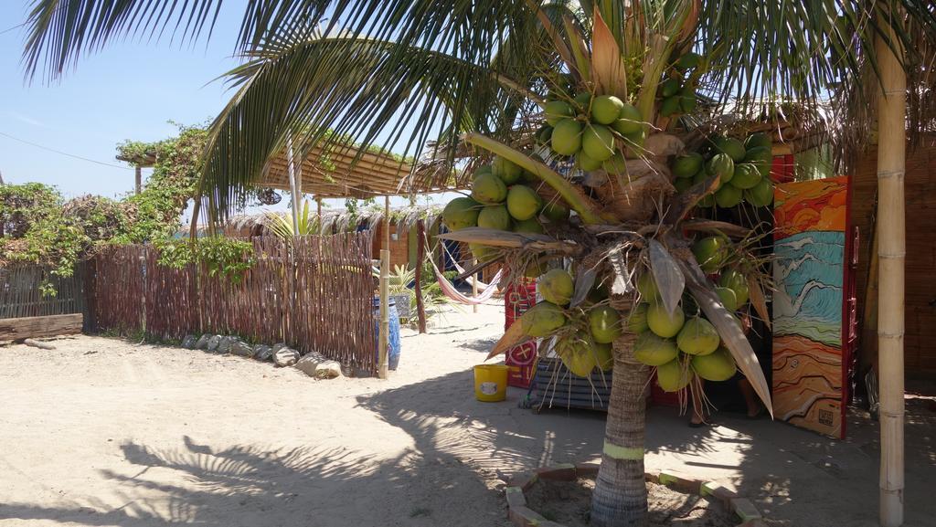 Psygon Surf Camp Hostel Mancora Exterior photo