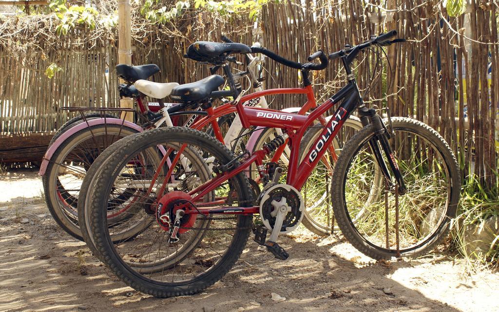 Psygon Surf Camp Hostel Mancora Exterior photo