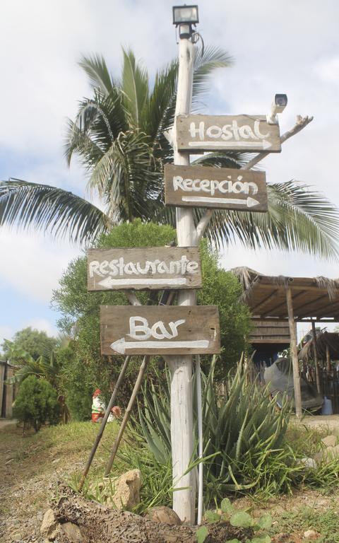Psygon Surf Camp Hostel Mancora Exterior photo